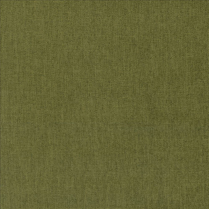 Tundra Dill by Kasmir Fabric 5161 100% Polyester
 CHINA </p><p>Repeat: Horizontal: N/A and Vertical: N/A 55 - Fabric Carolina -