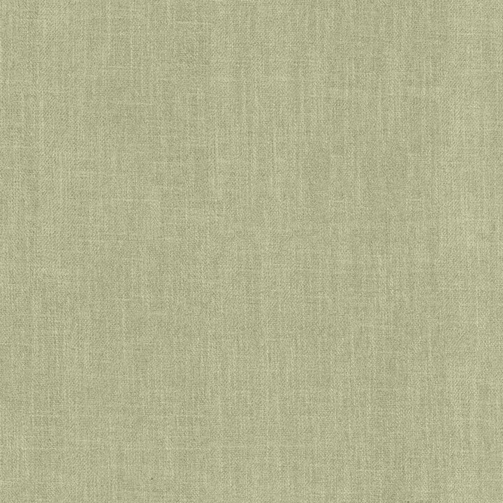 Tundra Foam by Kasmir Fabric 5161 100% Polyester
 CHINA </p><p>Repeat: Horizontal: N/A and Vertical: N/A 55 - Fabric Carolina -