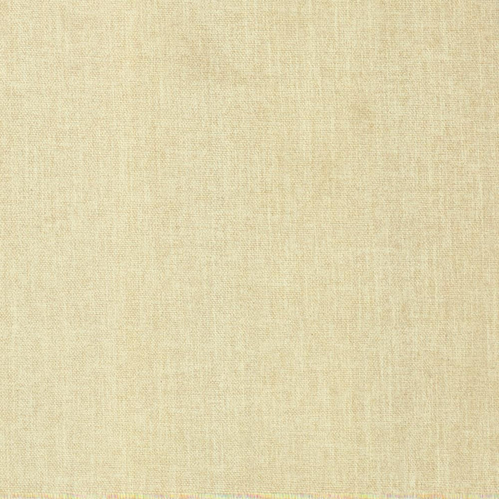 Tundra Ivory by Kasmir Fabric 5161 100% Polyester
 CHINA </p><p>Repeat: Horizontal: N/A and Vertical: N/A 55 - Fabric Carolina -