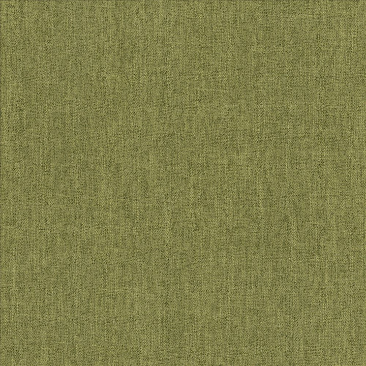 Tundra Sprout by Kasmir Fabric 5161 100% Polyester
 CHINA 51,000 Wyzenbeek Double Rubs Horizontal: N/A and Vertical: N/A 55 - Fabric Carolina -