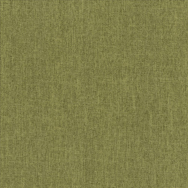 Tundra Sprout by Kasmir Fabric 5161 100% Polyester
 CHINA </p><p>Repeat: Horizontal: N/A and Vertical: N/A 55 - Fabric Carolina -