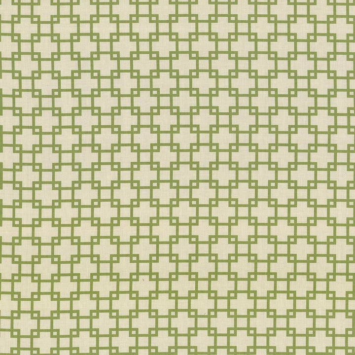 Tunechi Kiwi by Kasmir Fabric 5074 50% Cotton
50% Polyester
 PAKISTAN Not Tested </p><p>Repeat: Horizontal: 3 inches and Vertical: 2 7/8 inches 53 - Fabric Carolina -