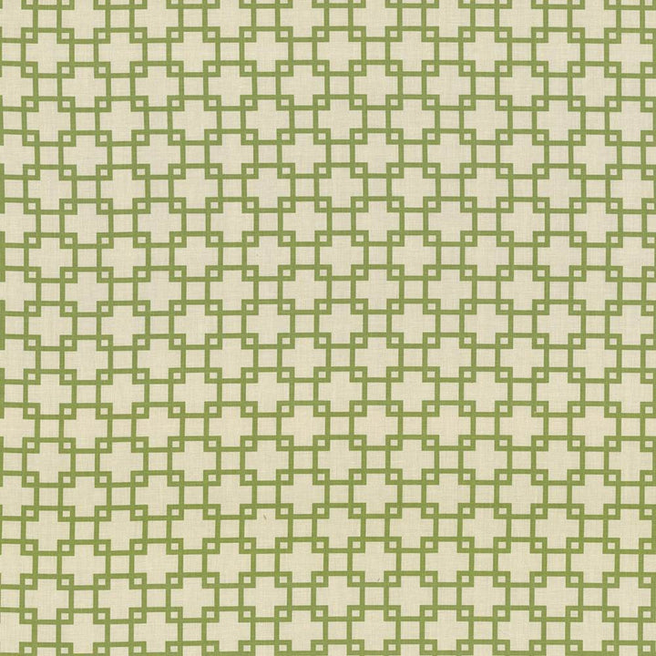 Tunechi Kiwi by Kasmir Fabric 5074 50% Cotton
50% Polyester
 PAKISTAN </p><p>Repeat: Horizontal: 3 inches and Vertical: 2 7/8 inches 53 - Fabric Carolina -