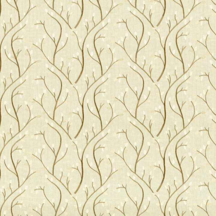Tuscan Vine Champagne by Kasmir Fabric 1443 54% Linen
32% Cotton
14% Polyester
Embroidery
100% Viscose
 INDIA </p><p>Repeat: Horizontal: 13 2/8 inches and Vertical: 9 inches 52 - Fabric Carolina -