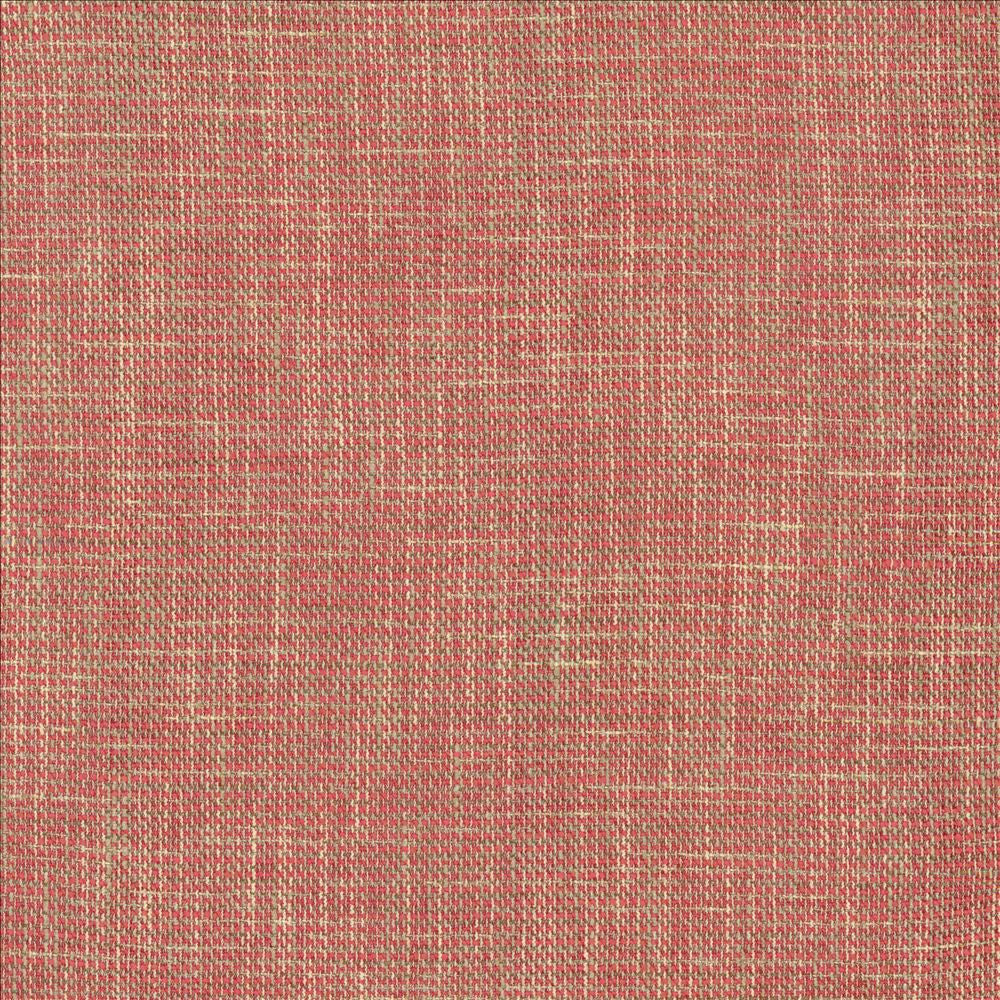 Tweedy Fuchsia  by Kasmir Fabric See sample 77% Polyester
23% Viscose
 INDIA 16,000 Wyzenbeek Double Rubs </p><p>Repeat: Horizontal: N/A and Vertical: N/A 54  - Fabric Carolina -