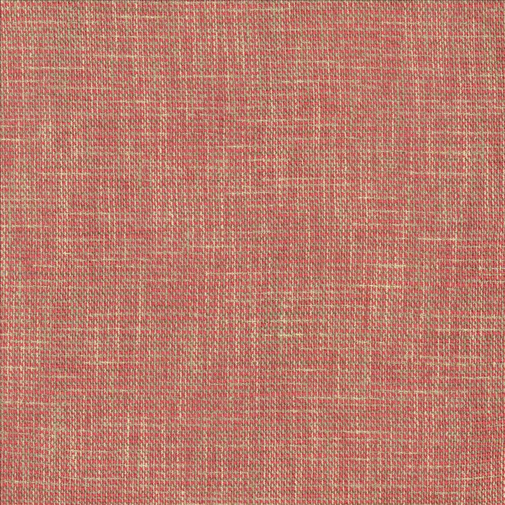 Tweedy Fuchsia by Kasmir Fabric 5155 77% Polyester
23% Viscose
 INDIA 16,000 Wyzenbeek Double Rubs </p><p>Repeat: Horizontal: N/A and Vertical: N/A 54 - Fabric Carolina -