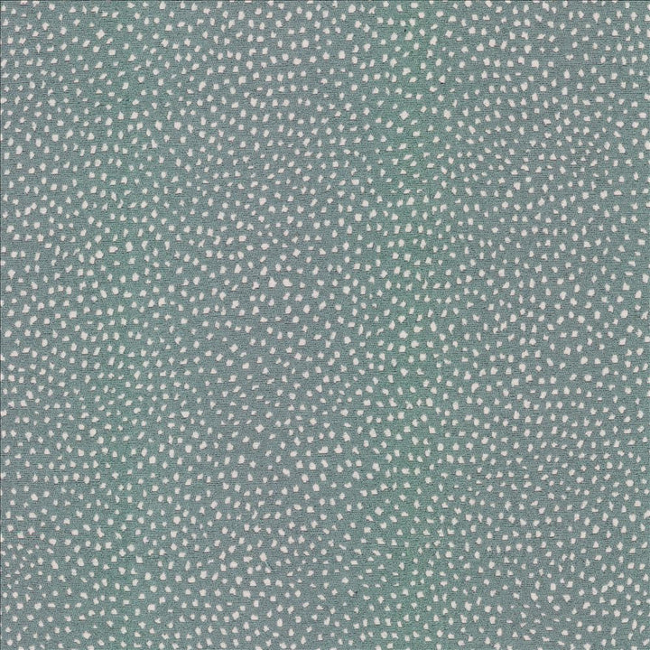 Twilight Cloud  by Kasmir Fabric 1474 70% Rayon 30% Polyester  CHINA  </p><p>Repeat: Horizontal: N/A and Vertical: N/A 57  - Fabric Carolina -