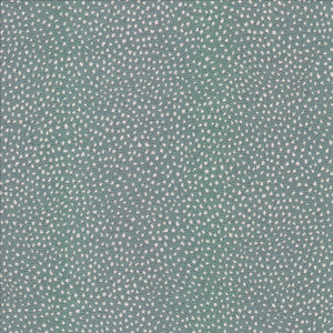 Twilight Cloud  by Kasmir Fabric