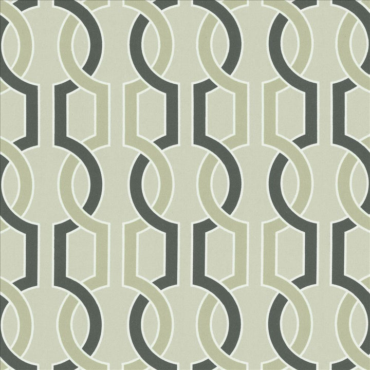 Twine Tusk by Kasmir Fabric 5141 100% Cotton
 SPAIN </p><p>Repeat: Horizontal: 13 4/8 inches and Vertical: 13 4/8 inches 54 - Fabric Carolina -