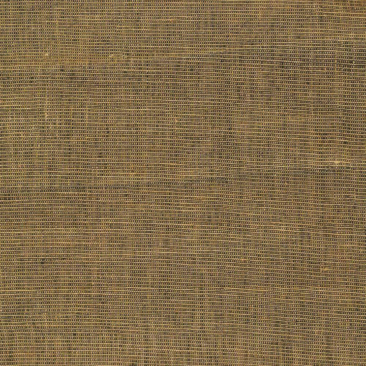 Twinkle Nutmeg by Kasmir Fabric 1367 INDIA 15,000 Wyzenbeek Double Rubs H: N/A, V:N/A 54 - Fabric Carolina - Kasmir