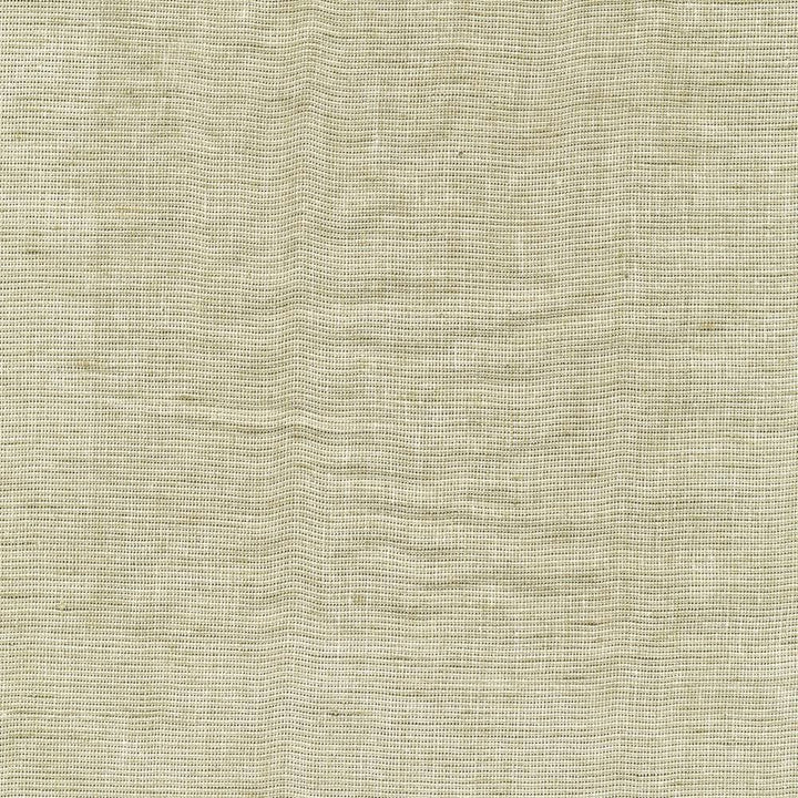 Twinkle Parchment by Kasmir Fabric 1374 72% Linen
19% Cotton
9% Metallic
 INDIA 15,000 Wyzenbeek Double Rubs Horizontal: N/A and Vertical: N/A 54 - Fabric Carolina -