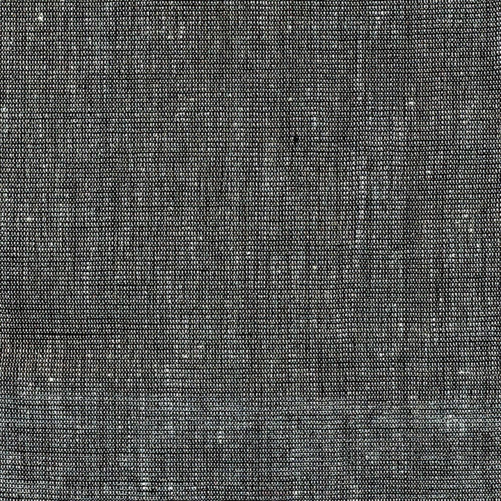 Twinkle Platinum by Kasmir Fabric 1369 72% Linen
19% Cotton
9% Metallic
 INDIA 15,000 Wyzenbeek Double Rubs Horizontal: N/A and Vertical: N/A 54 - Fabric Carolina -
