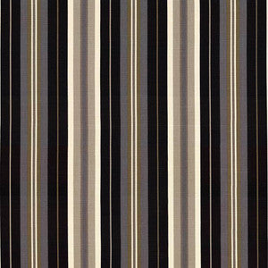 Twitter Stripe Black by Kasmir Fabric