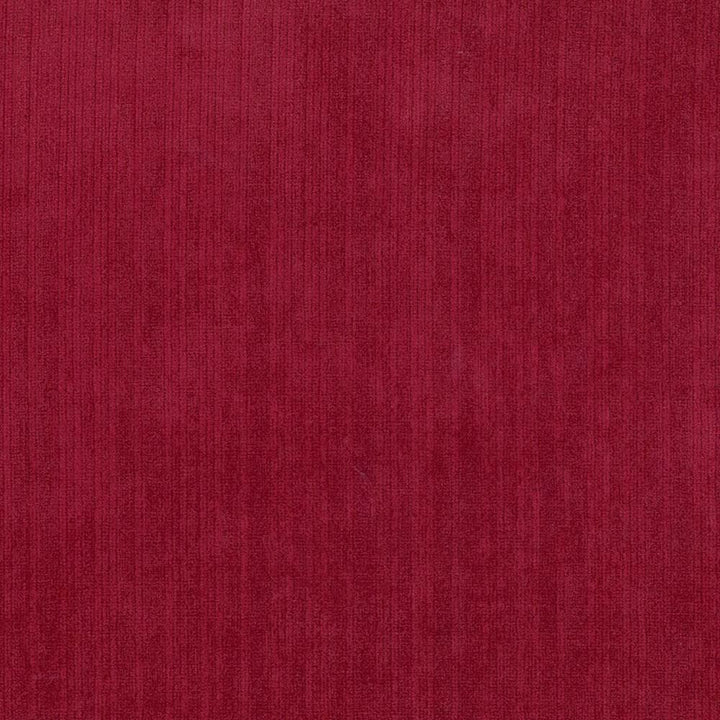 Tycoon Fiesta by Kasmir Fabric 5033 100% Polyester
 CHINA 51,000 Wyzenbeek Double Rubs Horizontal: N/A and Vertical: N/A 58 - Fabric Carolina -