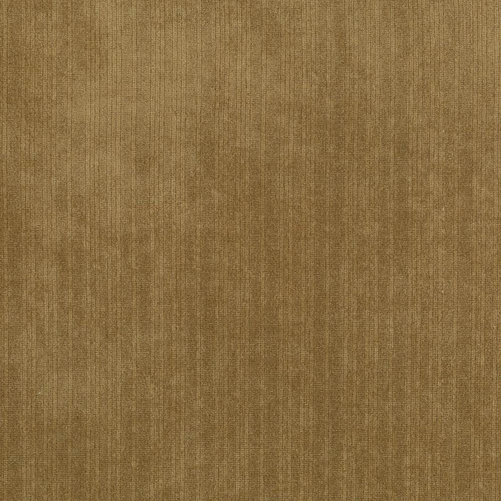 Tycoon Harvest by Kasmir Fabric 5033 100% Polyester CHINA 51,000 Wyzenbeek Double Rubs Horizontal: 0 Inches and Vertical: 0 Inches 58 - Fabric Carolina -