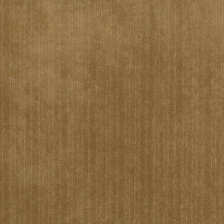 Tycoon Harvest by Kasmir Fabric 5033 CHINA 51,000 Wyzenbeek Double Rubs H: N/A, V:N/A 58 - Fabric Carolina - Kasmir