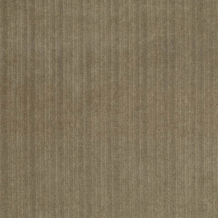 Tycoon Nougat by Kasmir Fabric 5033 CHINA 51,000 Wyzenbeek Double Rubs H: N/A, V:N/A 58 - Fabric Carolina - Kasmir