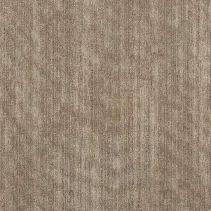 Tycoon Parchment by Kasmir Fabric 5033 CHINA 51,000 Wyzenbeek Double Rubs H: N/A, V:N/A 58 - Fabric Carolina - Kasmir