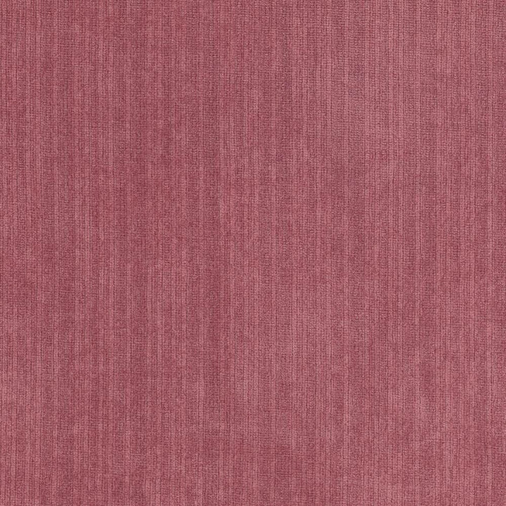 Tycoon Tea Rose  by Kasmir Fabric See sample 100% Polyester
 CHINA 51,000 Wyzenbeek Double Rubs </p><p>Repeat: Horizontal: N/A and Vertical: N/A 58  - Fabric Carolina -