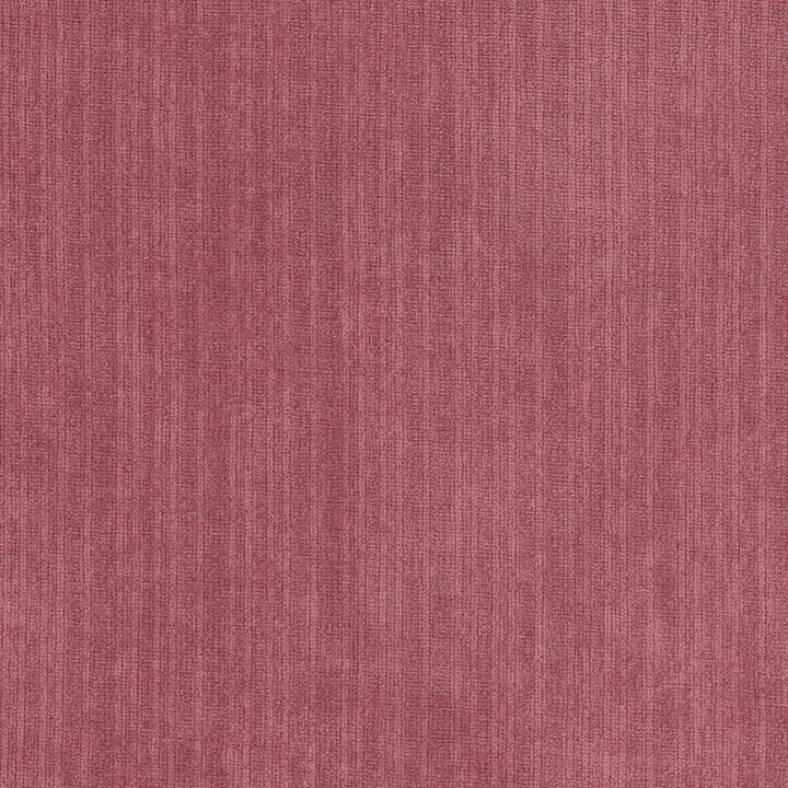 Tycoon Tea Rose by Kasmir Fabric 5033 CHINA 51,000 Wyzenbeek Double Rubs H: N/A, V:N/A 58 - Fabric Carolina - Kasmir