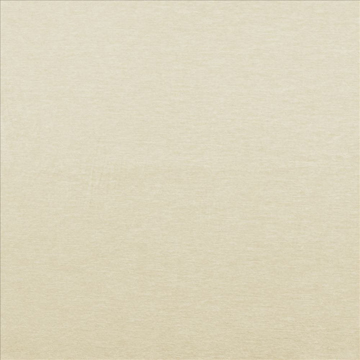 Ultimate Ivory by Kasmir Fabric 5180 100% Polyester
 CHINA </p><p>Repeat: Horizontal: N/A and Vertical: N/A 54 - Fabric Carolina -