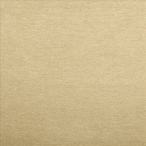 Ultimate Linen by Kasmir Fabric