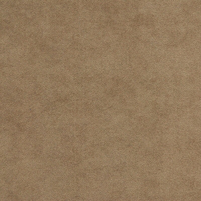 Ultrasoft Fawn by Kravet Design Fabric