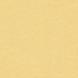 Ultrasuede Limestone by Kravet Design Fabric