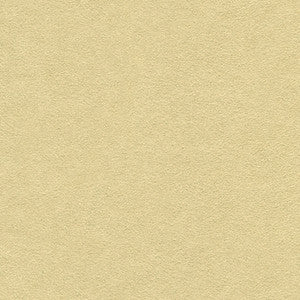 Ultrasuede Flax by Kravet Design Fabric