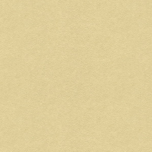 Ultrasuede 1611Bb by Kravet Design Fabric