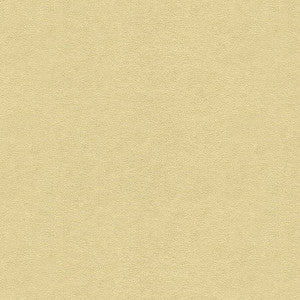 Ultrasuede 1611Bb by Kravet Design Fabric