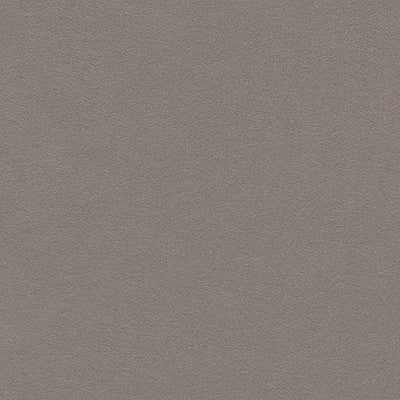 Ultrasuede Taupe by Kravet Design Fabric