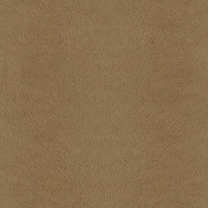 Kravet Design Unbridled-616 by Kravet Design Fabric