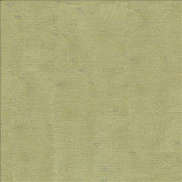 Unforgettable Aloe by Kasmir Fabric 1351 100% Polyester INDIA 25,000 Wyzenbeek Double Rubs H: N/A, V: N/A 54 - Fabric Carolina - Kasmir