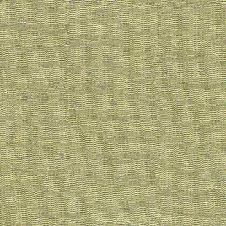 Unforgettable Aloe by Kasmir Fabric 1349 INDIA 25,000 Wyzenbeek Double Rubs H: N/A, V:N/A 54 - Fabric Carolina - Kasmir