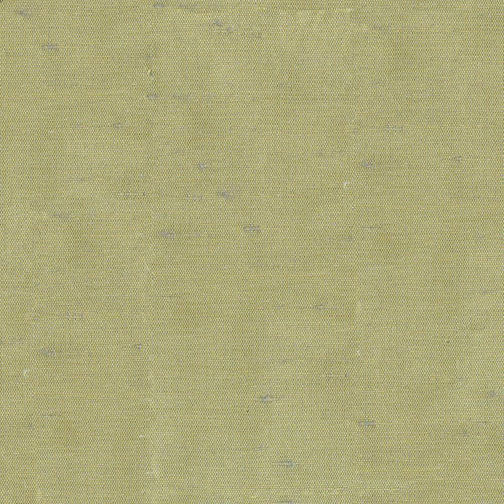 Unforgettable Aloe by Kasmir Fabric 5010 INDIA 25,000 Wyzenbeek Double Rubs H: N/A, V:N/A 54 - Fabric Carolina - Kasmir