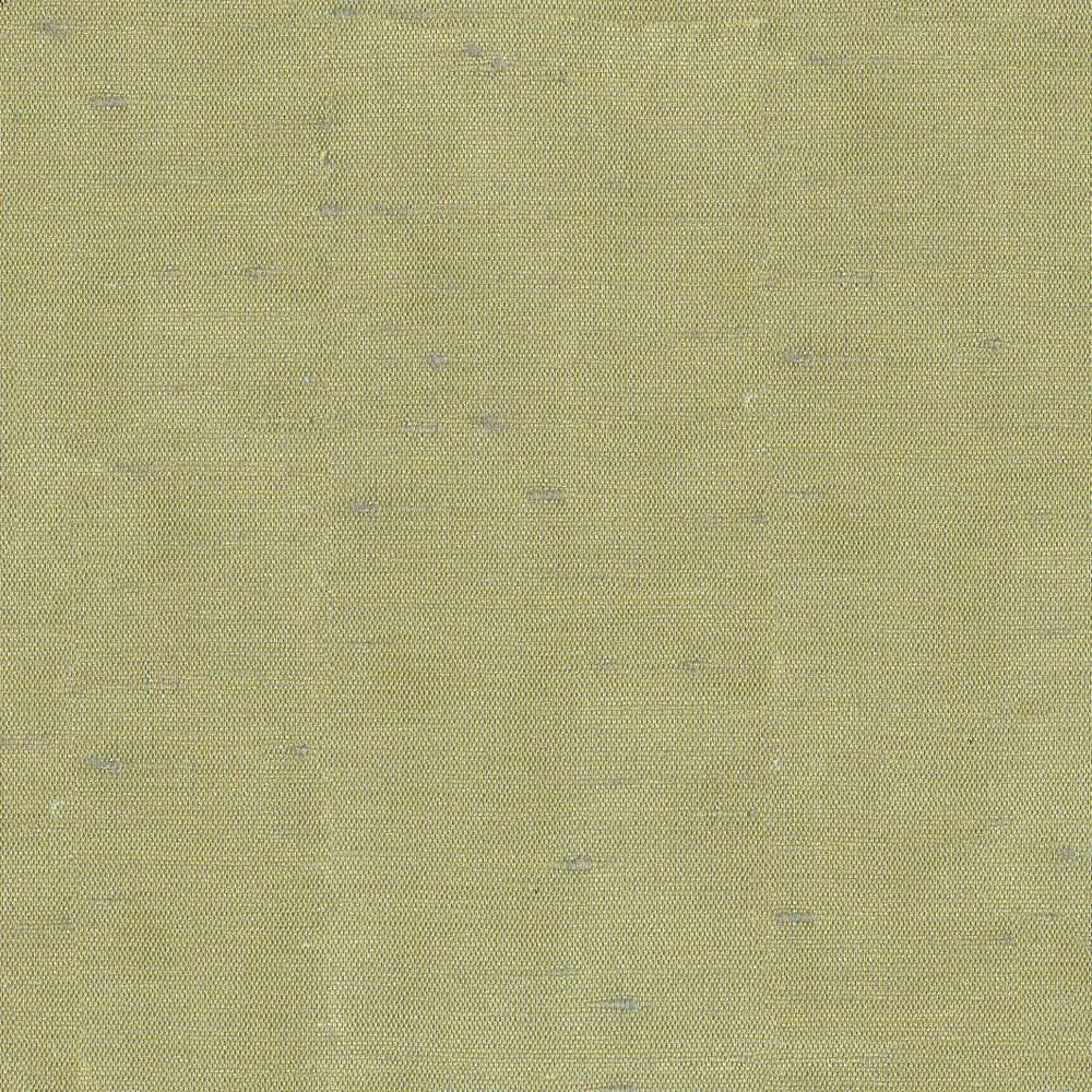 Unforgettable Aloe by Kasmir Fabric 1348 100% Polyester INDIA 25,000 Wyzenbeek Double Rubs Horizontal: 0 Inches and Vertical: 0 Inches 54 - Fabric Carolina -