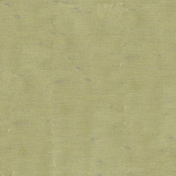 Unforgettable Aloe by Kasmir Fabric 1351 100% Polyester
 INDIA </p><p>Repeat: Horizontal: N/A and Vertical: N/A 54 - Fabric Carolina -