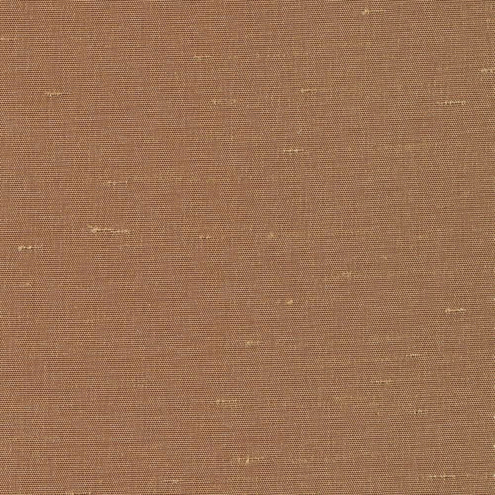 Unforgettable Amber by Kasmir Fabric 5010 100% Polyester
 INDIA </p><p>Repeat: Horizontal: N/A and Vertical: N/A 54 - Fabric Carolina -