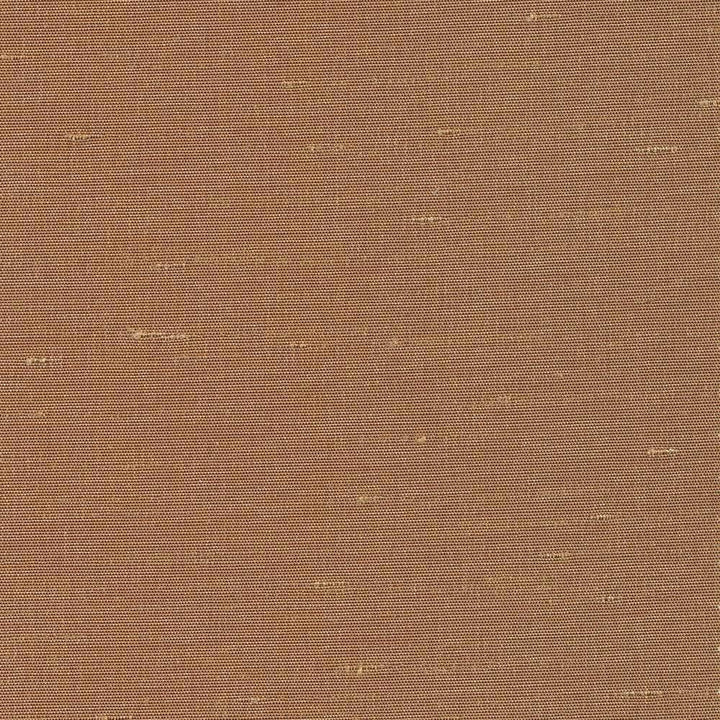 Unforgettable Amber by Kasmir Fabric 5010 INDIA 25,000 Wyzenbeek Double Rubs H: N/A, V:N/A 54 - Fabric Carolina - Kasmir