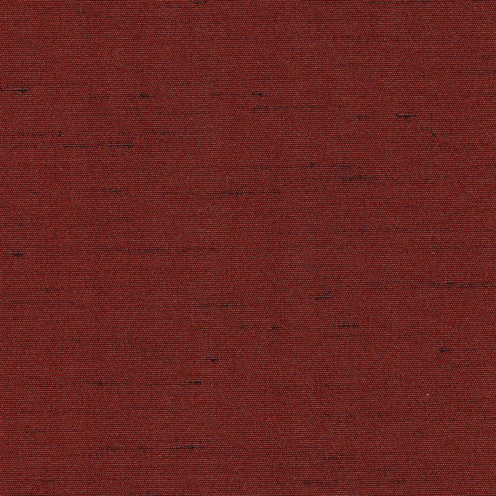 Unforgettable Auburn by Kasmir Fabric 5010 INDIA 25,000 Wyzenbeek Double Rubs H: N/A, V:N/A 54 - Fabric Carolina - Kasmir