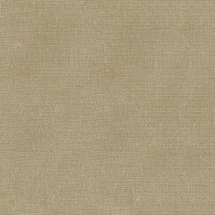 Unforgettable Bark by Kasmir Fabric 1347 INDIA 25,000 Wyzenbeek Double Rubs H: N/A, V:N/A 54 - Fabric Carolina - Kasmir