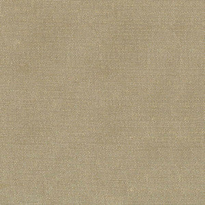 Unforgettable Bark by Kasmir Fabric