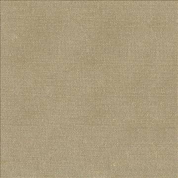 Unforgettable Bark by Kasmir Fabric 1351 100% Polyester INDIA 25,000 Wyzenbeek Double Rubs H: N/A, V: N/A 54 - Fabric Carolina - Kasmir