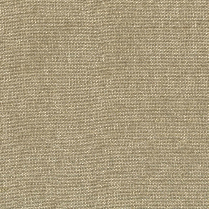 Unforgettable Bark  by Kasmir Fabric See sample 100% Polyester
 INDIA 25,000 Wyzenbeek Double Rubs </p><p>Repeat: Horizontal: N/A and Vertical: N/A 54  - Fabric Carolina -