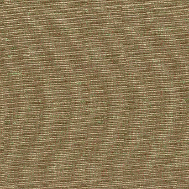 Unforgettable Basil by Kasmir Fabric 5010 INDIA 25,000 Wyzenbeek Double Rubs H: N/A, V:N/A 54 - Fabric Carolina - Kasmir