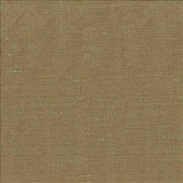 Unforgettable Basil by Kasmir Fabric 1349 100% Polyester INDIA 25,000 Wyzenbeek Double Rubs H: N/A, V: N/A 54 - Fabric Carolina - Kasmir