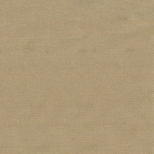 Unforgettable Beige by Kasmir Fabric