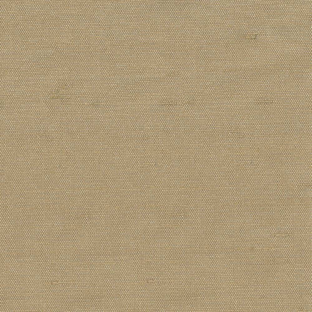 Unforgettable Beige by Kasmir Fabric 1348 INDIA 25,000 Wyzenbeek Double Rubs H: N/A, V:N/A 54 - Fabric Carolina - Kasmir