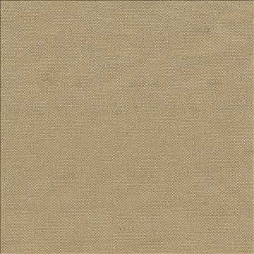 Unforgettable Beige by Kasmir Fabric 1351 100% Polyester INDIA 25,000 Wyzenbeek Double Rubs H: N/A, V: N/A 54 - Fabric Carolina - Kasmir
